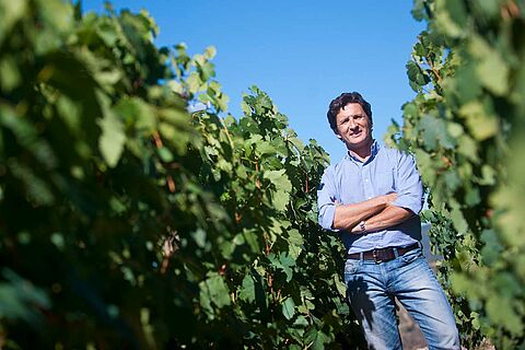 Rafael Palacios im Weinfeld bei blauem Himmel