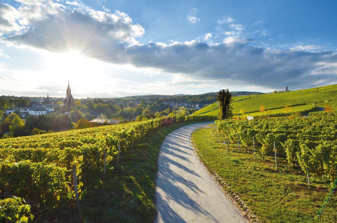 Weinregion Rheingau, Weinberge, blauer Himmel