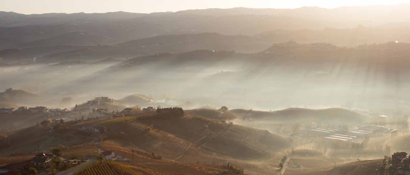 Piemont 2017 – die Reise: Verkostung Barolo 2014
