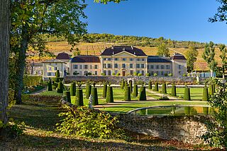 Weingut Chateau de la Chaize