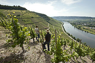 Am Steilhang bei Carl Loewen