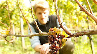 Peter Bernhard Kühn