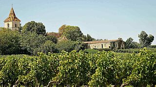 Weinfeld Cotes de Blaye