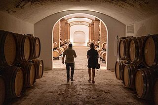 Im Keller von Felsina Im Keller von Felsina