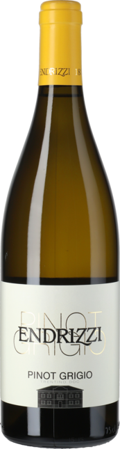 Pinot Grigio Classica DOC Trentino 2020