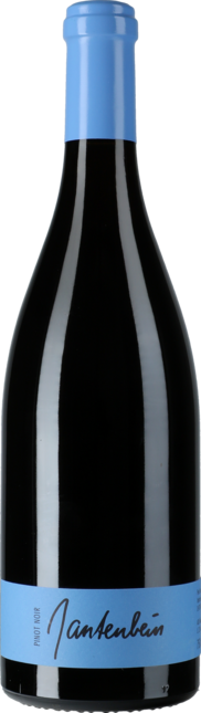 Pinot Noir 2021