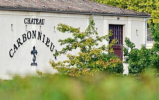 Haus, Weingut, Weinfeld Carbonnieux