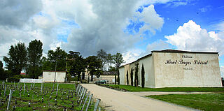 Haut Bages Liberal, Pauillac