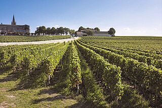 La Croix Saint Georges Weinberge