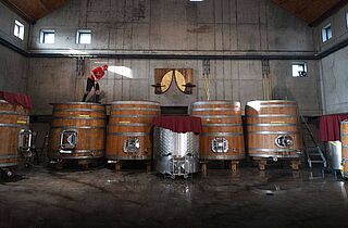 Arbejde i vinkælderen på Fürst Kellers vingård