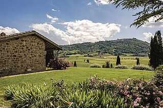 Siro Pacenti vingård