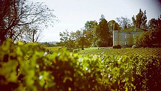 Weinfeld, Weingut Charmail