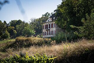 Weingut Odinstal Weingut Odinstal