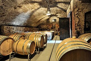 Thomas Studach Weinkeller mit Holzfässern