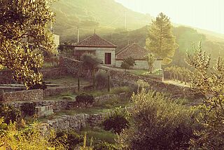Weingut Quinta da Ferradosa Weinbergsterrassen Quinta da Ferradosa bei Morgendämmerung