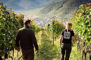 Bertram Baltes Winemaker i vinmarken