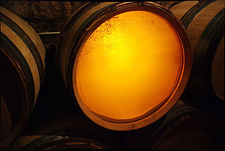 Hefeablagerungen im Weinfass