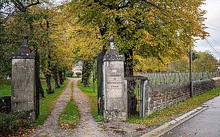Einfahrt des Weinguts Montbourgeau