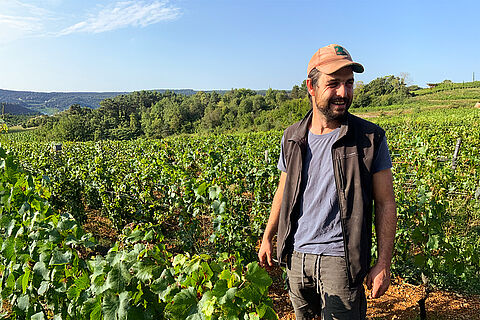 Winzer Decelle und fils auf dem Weinberg