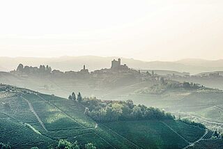 Weinberge Piemont