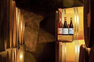 Weinkeller und Weinfässer von Dominio del Aguila