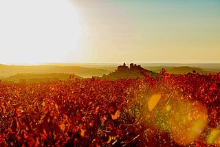 Blick über die Ferne bei herbstlichem Licht