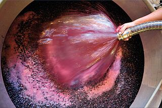 Maische aus Weinreben von Jean Faure