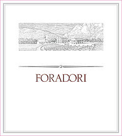 Teroldego Rotaliano 2011