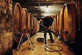 Dönnhofs vinkælder