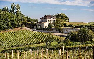 Domaine Capmartin Weinfeld