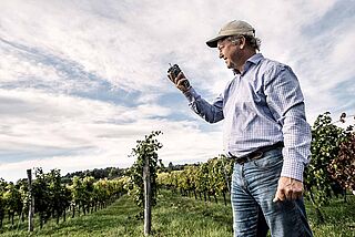 Fritz Wieninger auf seinem Weinfeld in Wien