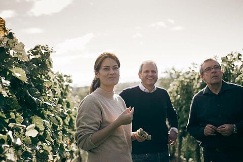 Christmann & Kauffmann Winzer im Weinberg