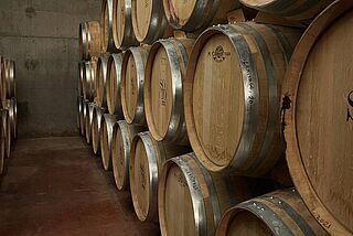 Weinkeller und Weinfaesser des Weinguts Dominio del Soto