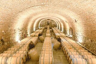 Beeindruckender Weinkeller bei Bodegas Caro