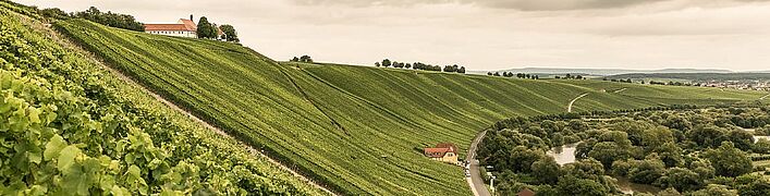 Vinregionen Franken