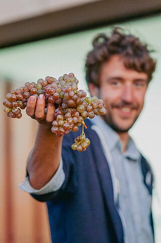 Jorge Monzón präsentiert ein paar Trauben