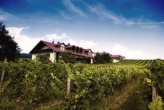 Weingut Kühn Weingut Kühn