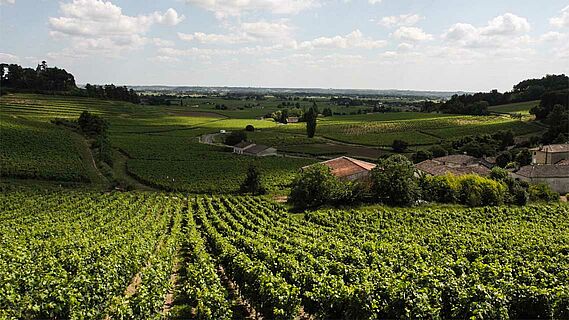 Domaine des Forges Weinfeld