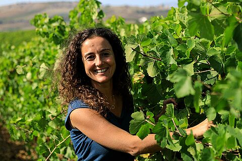 Winzerin auf dem Weinfeld, Weinreben