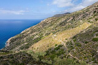 Weinberg, Weingut Bibi Graetz
