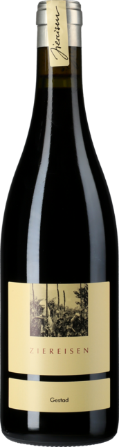 Syrah Gestad 2020