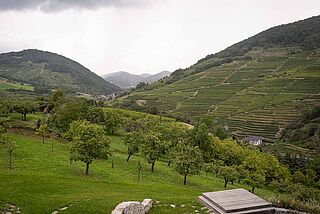 Peter Veyder-Malberg