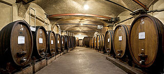 Kælder af Giuseppe Mascarello Kælder af Giuseppe Mascarello