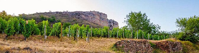 Maconnais vinregion