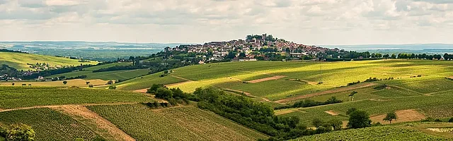 Weine aus Sancerre & Centre-Val de Loire