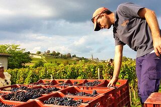 Person under høsten på Saint Georges Cote Pavie