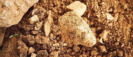 Terroir und Biodynamie im Burgund