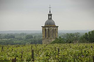 Blick auf die Appellation Clos de Bourg