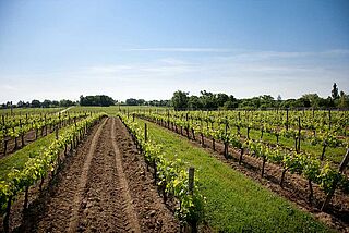 AC Bordeaux Courteillac AC Bordeaux Courteillac