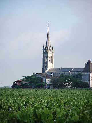 Weinfeld des Weinguts Certan de May